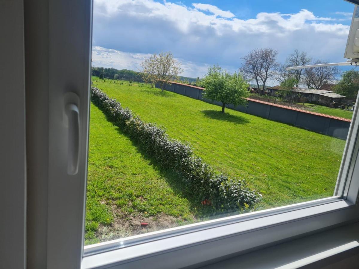 Apartman Ruzic Sveti Ivan Zabno Luaran gambar